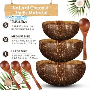 Cuenco de cáscara de coco natural