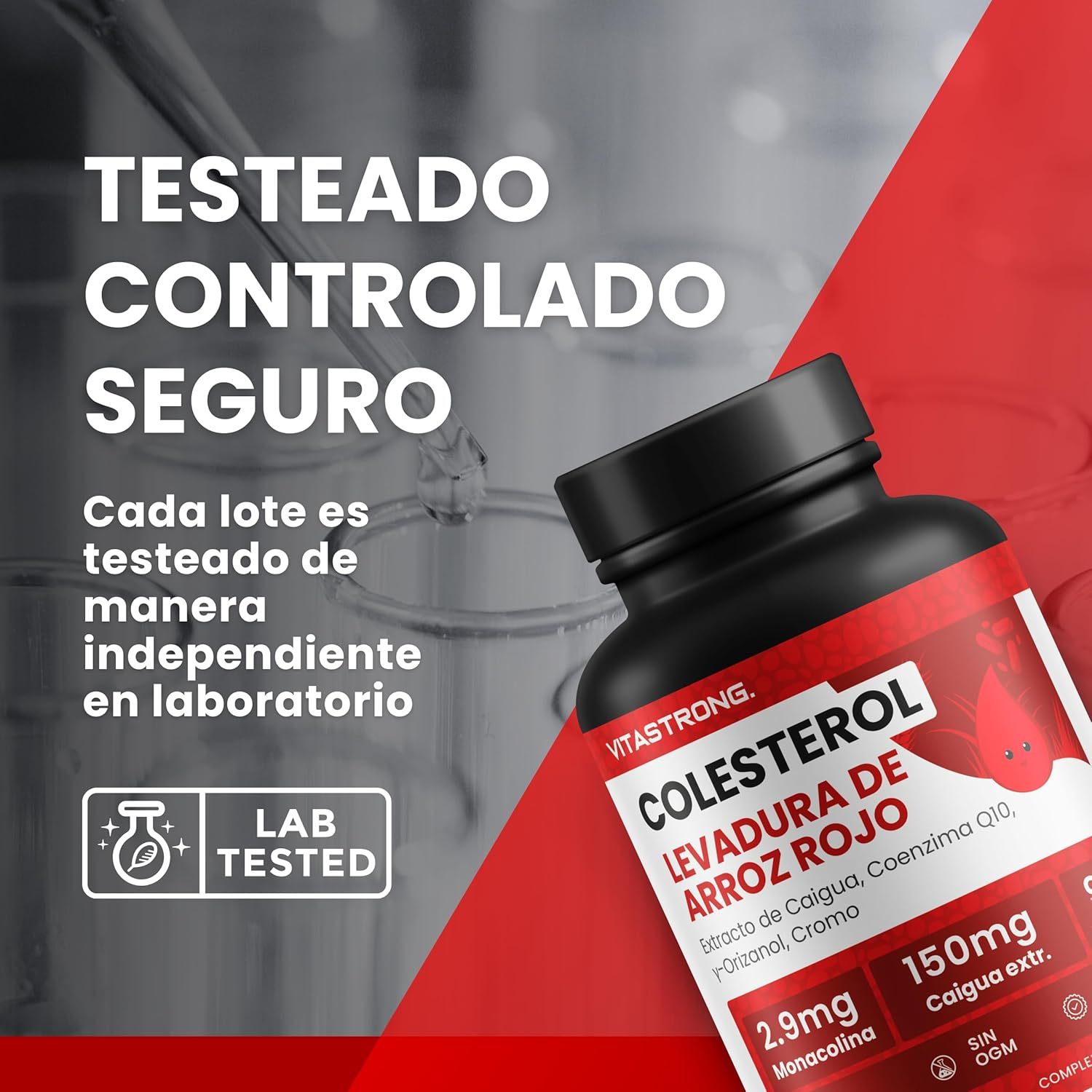 Suplemento para el Metabolismo del Colesterol - Imagen 4